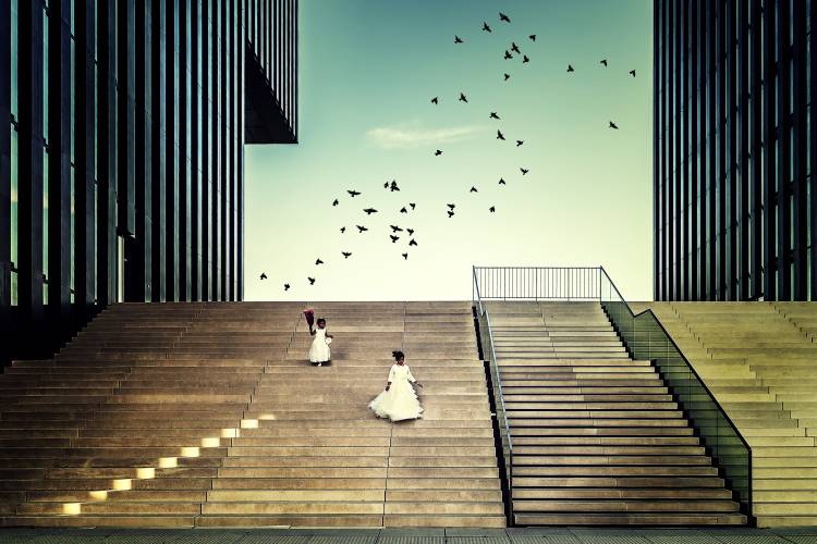 Free like a bird... von Dennis Mohrmann