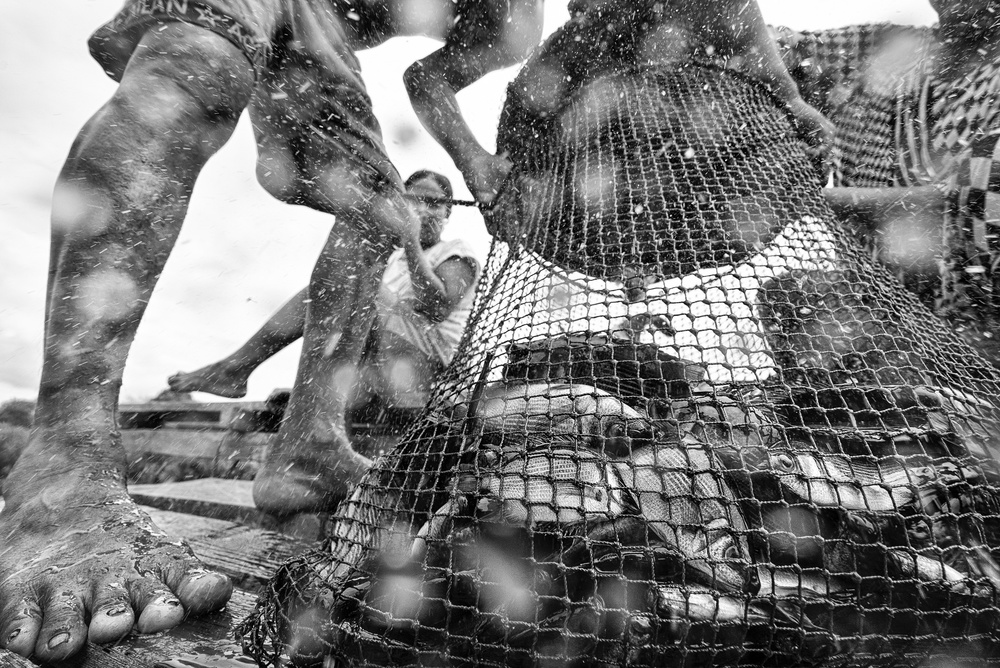 fish von Deny Krisbiyantoro