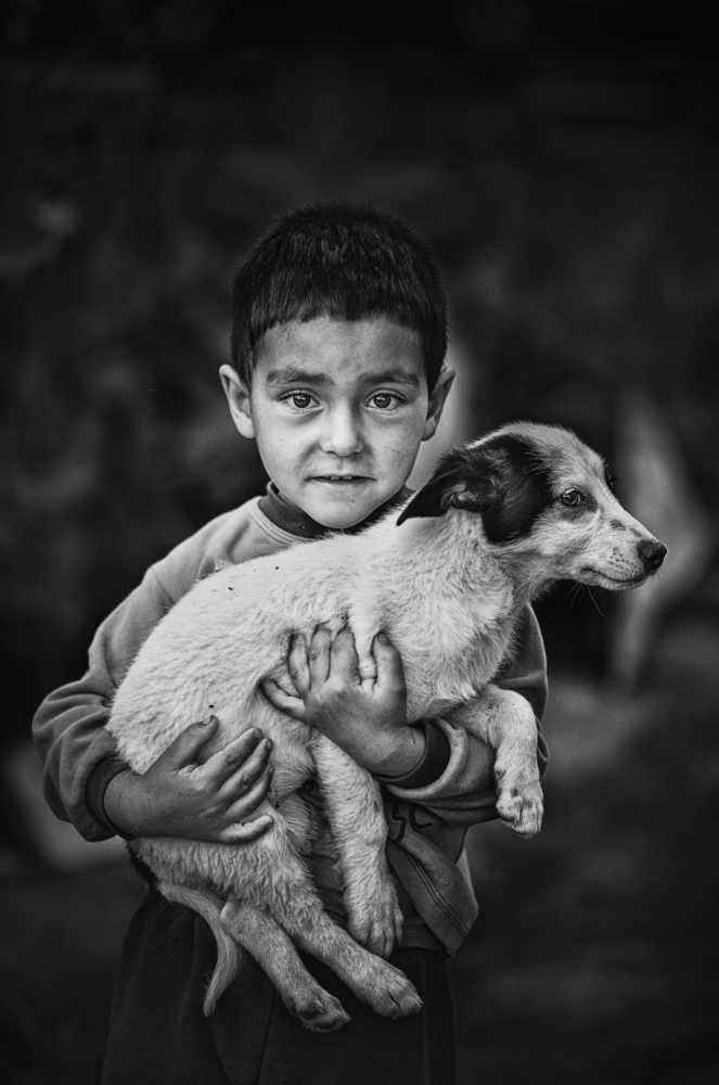 the gift von Desislava Ignatova