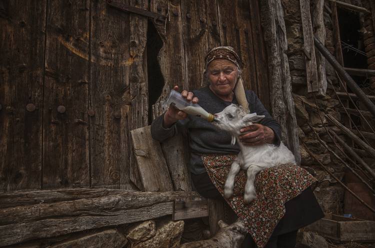 Substitute mother von Desislava Ignatova