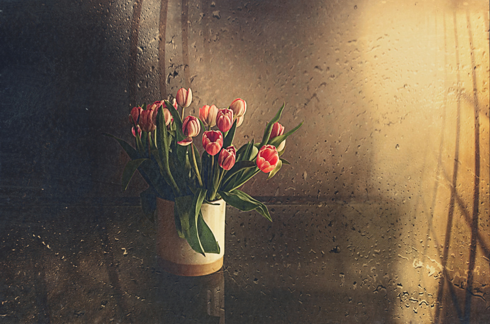 tulips in the room von Desislava Ignatova