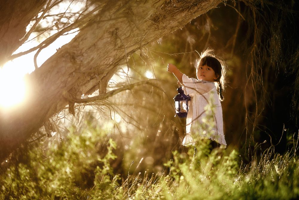 Das Mädchen Mit Der Blauen Laterne von Despird Zhang