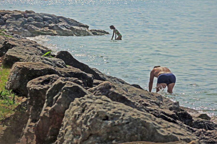 Endlich am Meer von Joachim W. Dettmer