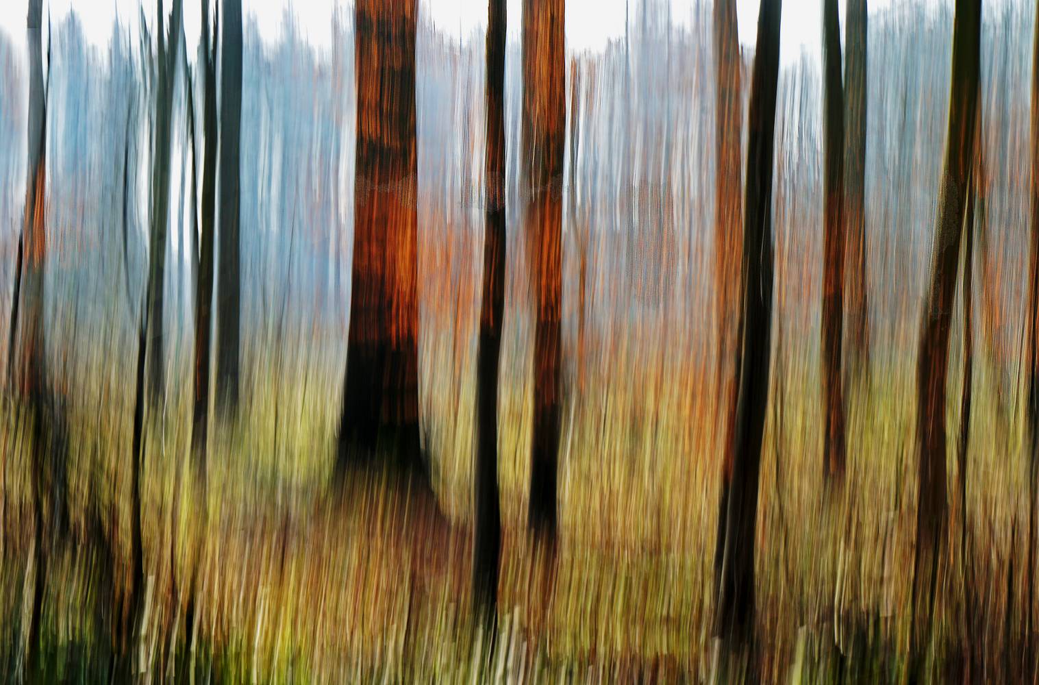 Fall Emotions von Joachim W. Dettmer