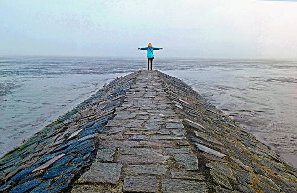 Getting free von Joachim W. Dettmer