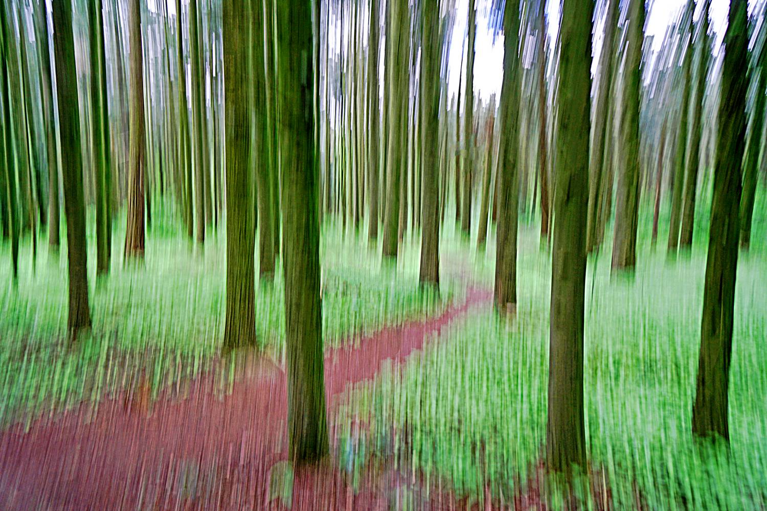 Mammoth Trail von Joachim W. Dettmer