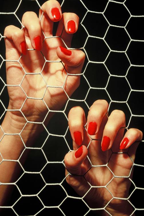 Prisoner von Joachim W. Dettmer