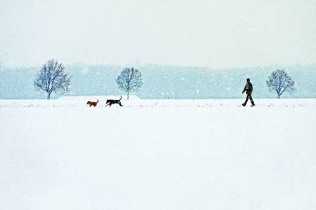 Winter am Gertrudenhof