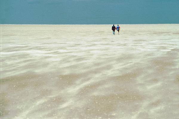 Vom Winde verweht von Joachim W. Dettmer