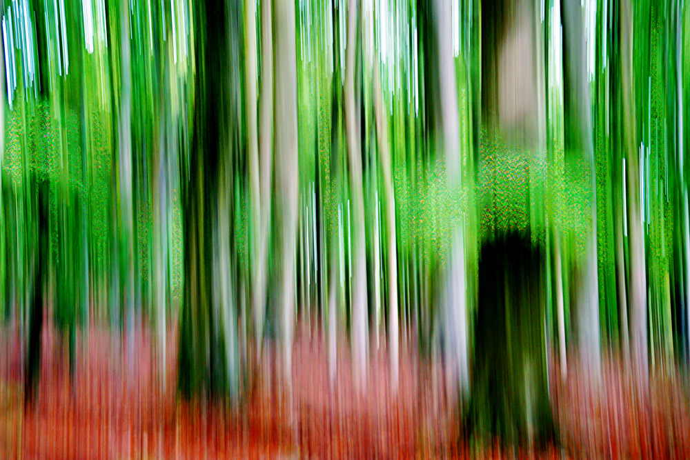 Waldesrauschen von Joachim W. Dettmer