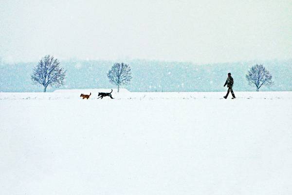 Winter am Gertrudenhof von Joachim W. Dettmer