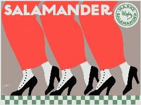 Salamander Schuhe