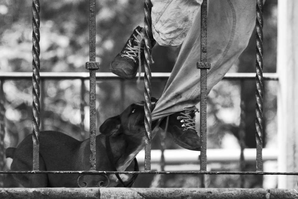 Let me go! von Diana