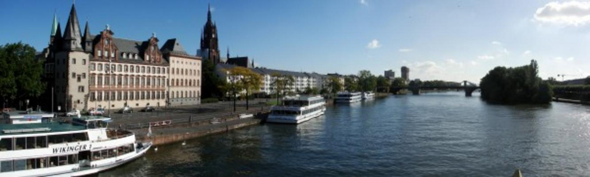 Panorama Frankfurt von Diana Saft
