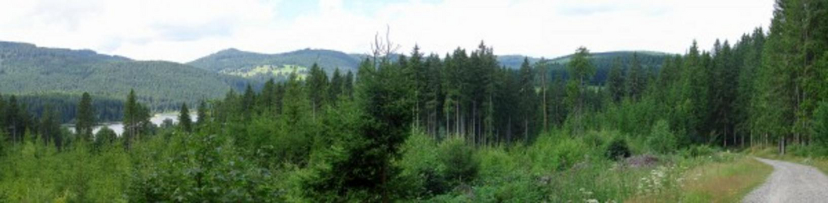 Panorma Radtour um Schluchsee von Diana Saft