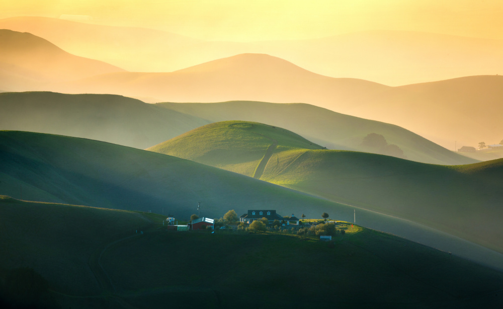 hills von Dianne Mao