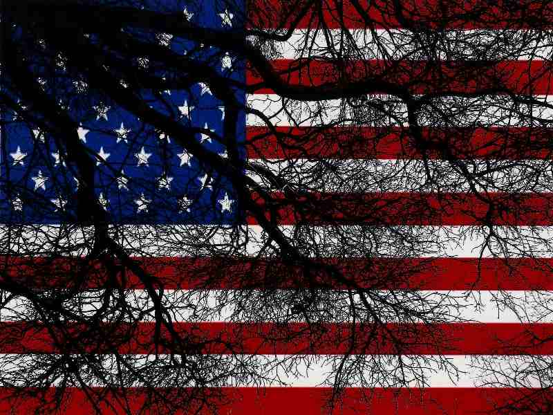 Amerikanische Flagge hinter dem Baum von Christophe Didillon