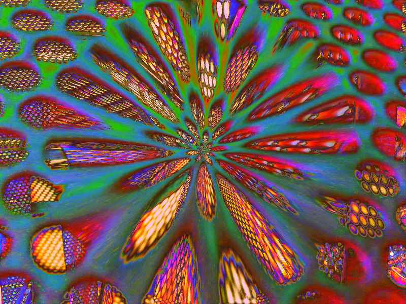 Symbiotische Verengung von Christophe Didillon