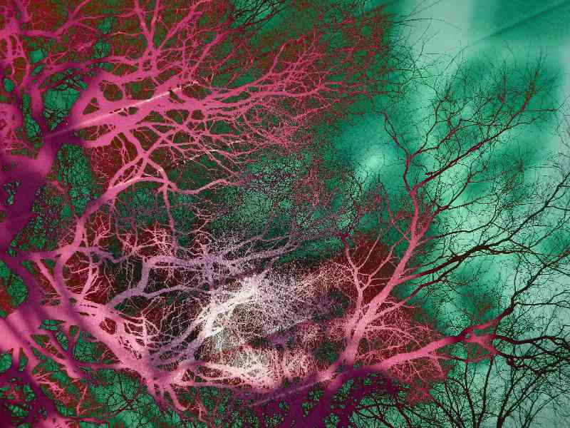 Ohne Titel von Christophe Didillon