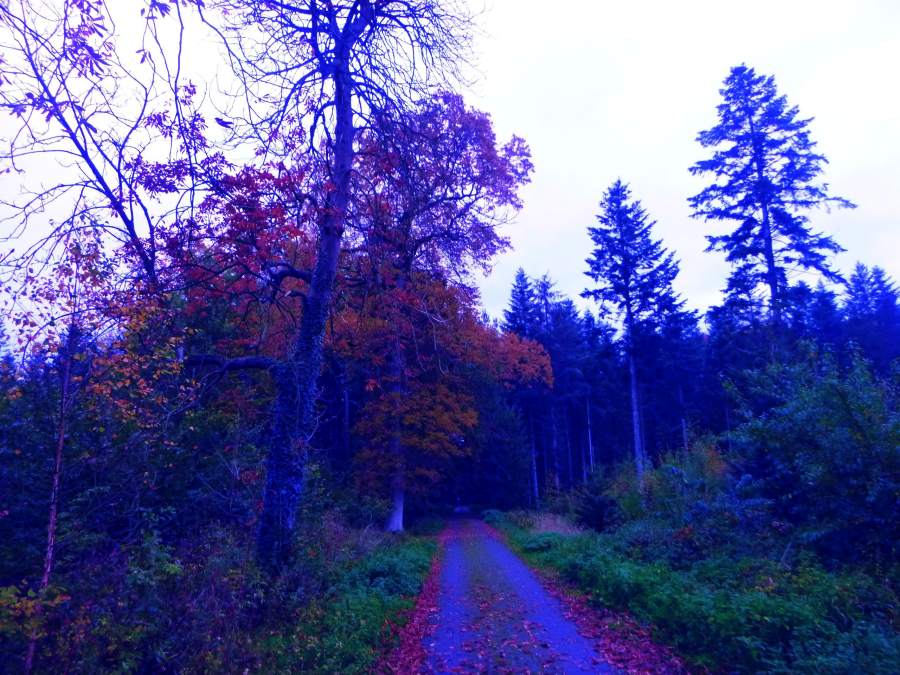 Blaue Stunde von Christophe Didillon