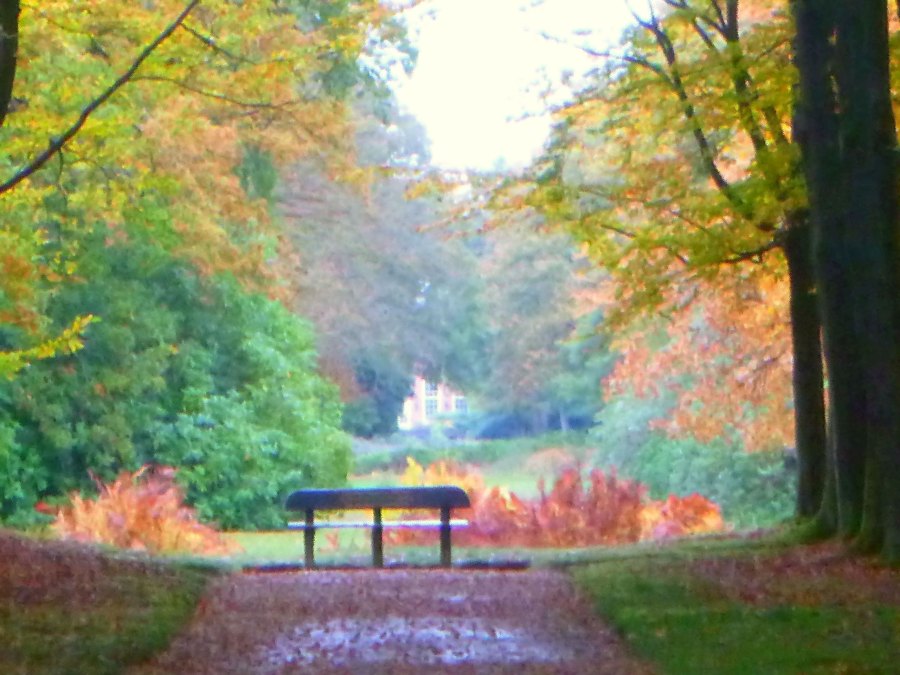 Ohne Titel von Christophe Didillon