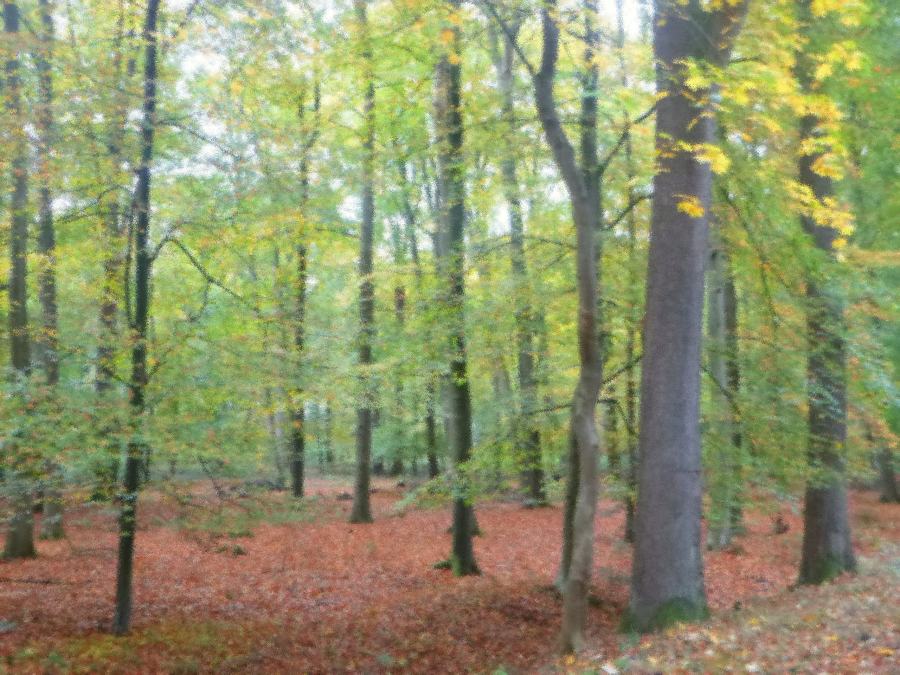 Ohne Titel von Christophe Didillon