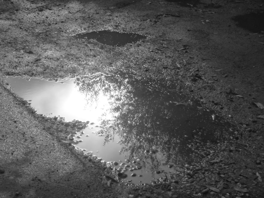 Ohne Titel von Christophe Didillon