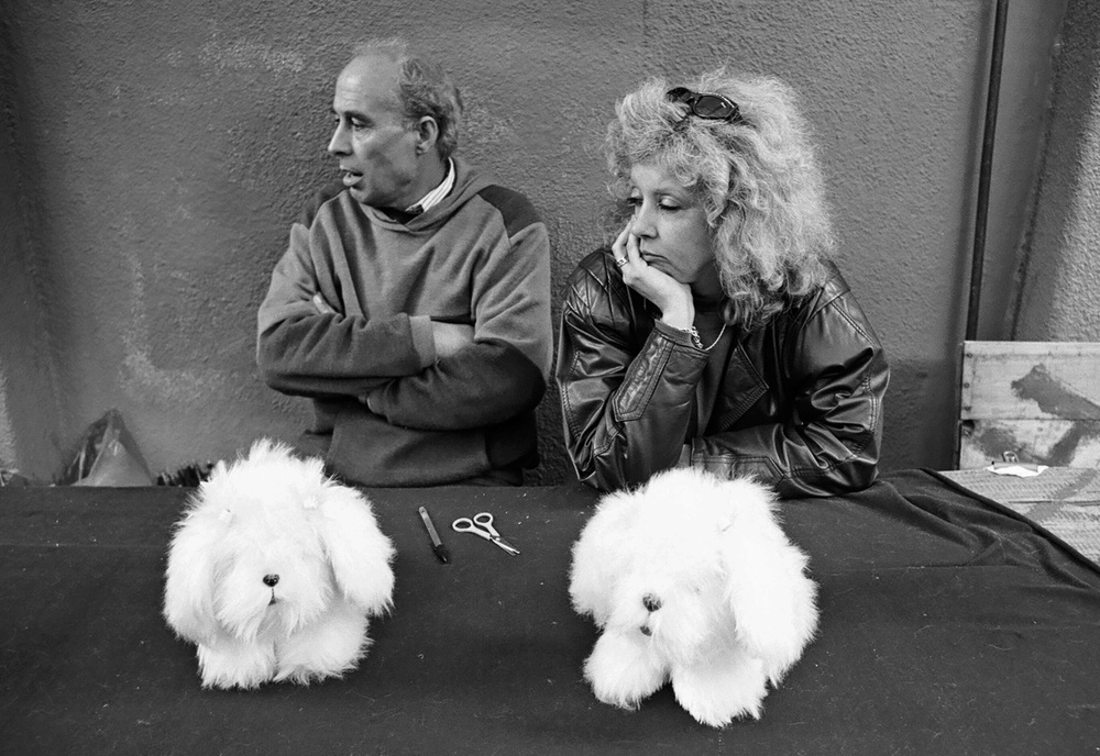 Romance (from the series "Boy meets girl") von Dieter Matthes