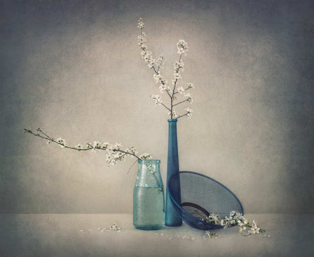 Almost spring... von Dimitar Lazarov