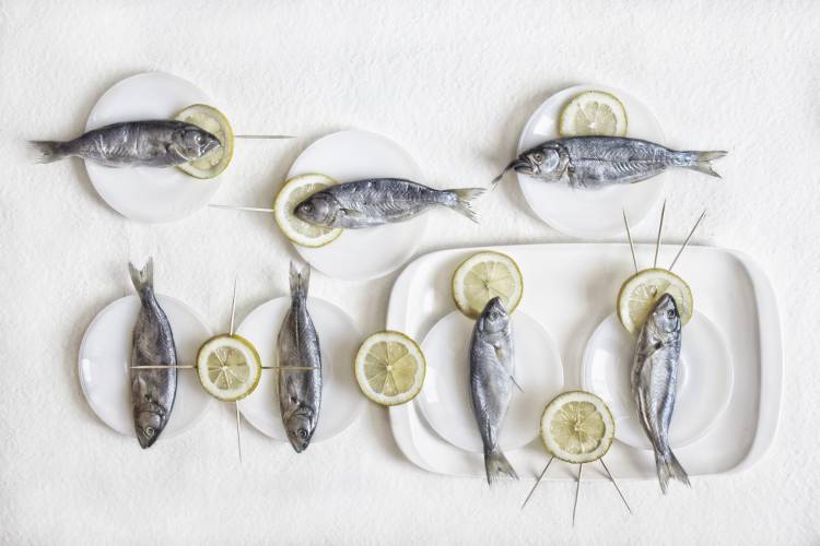 Still Life with Fish von Dimitar Lazarov