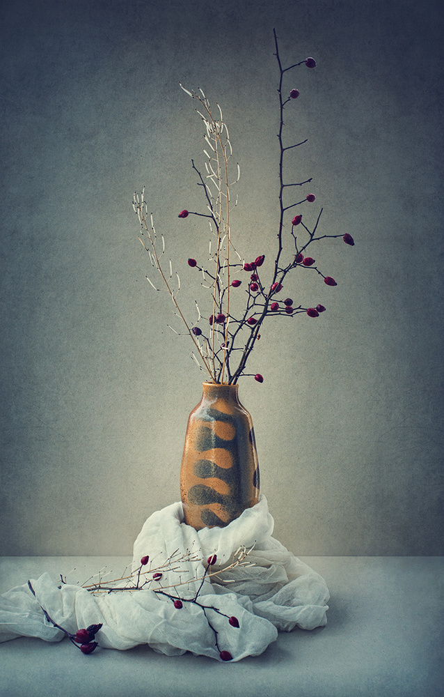 Still life with rose hips von Dimitar Lazarov - Dim
