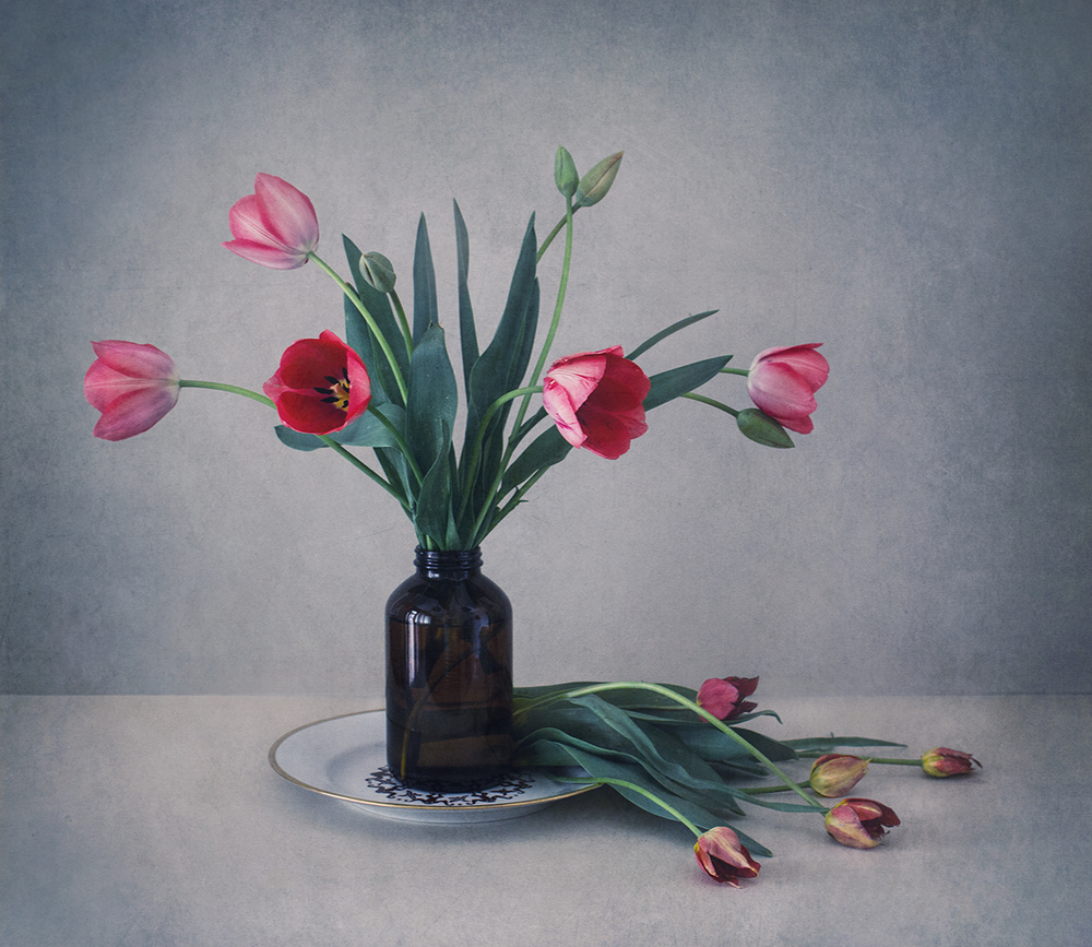 Still life with tulips von Dimitar Lazarov - Dim