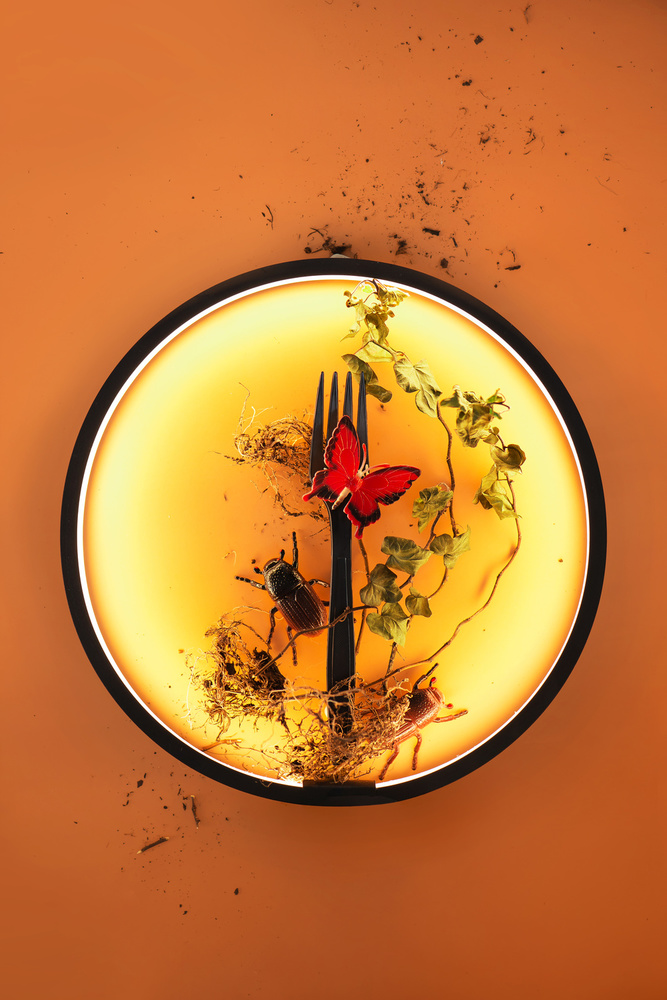 Surrounded: Sand von Dina Belenko