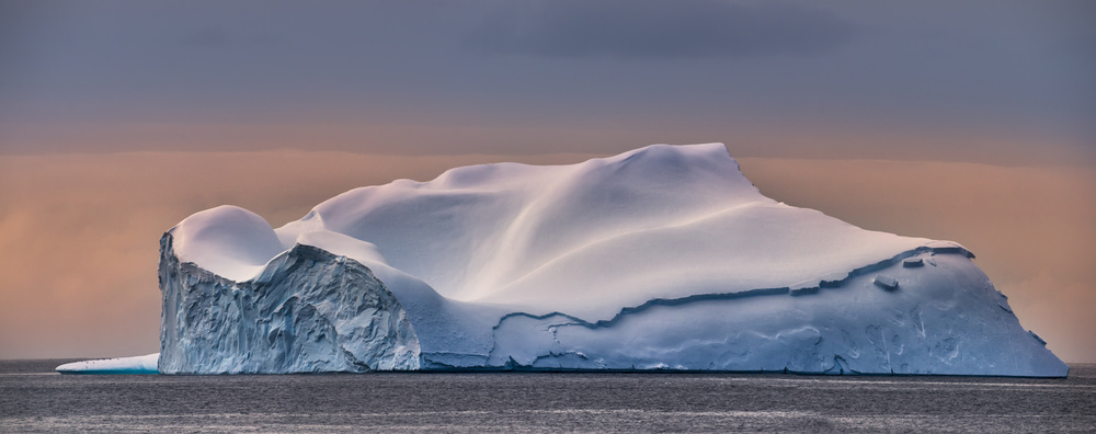 Quite von Dinglu (XH) Yang