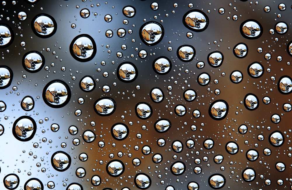 Neighbours von Dirk Eidner