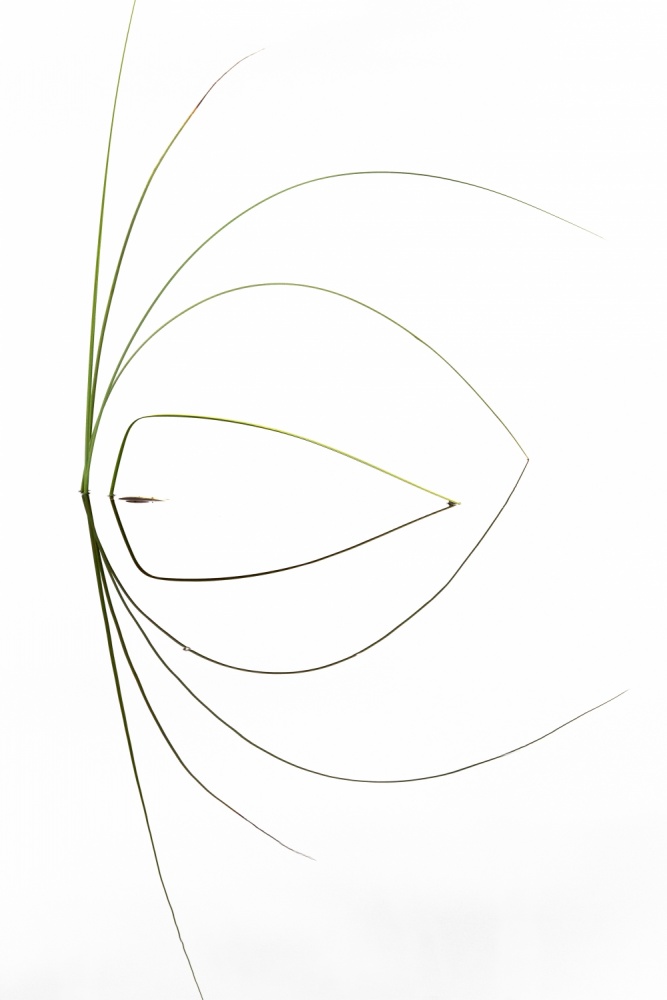 untitledl von Dirk Heckmann