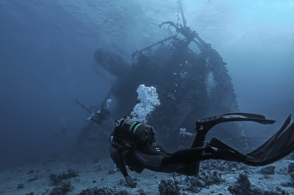 «Giannis D» von Dmitriy Yevtushyk