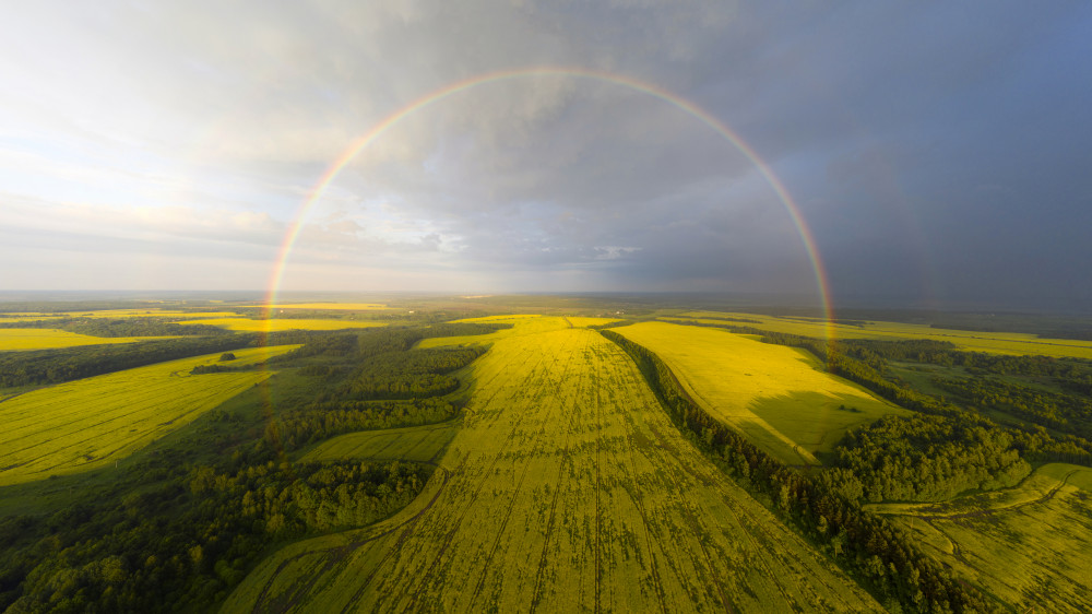 An exotic look at the rainbow von Dmitry Doronin