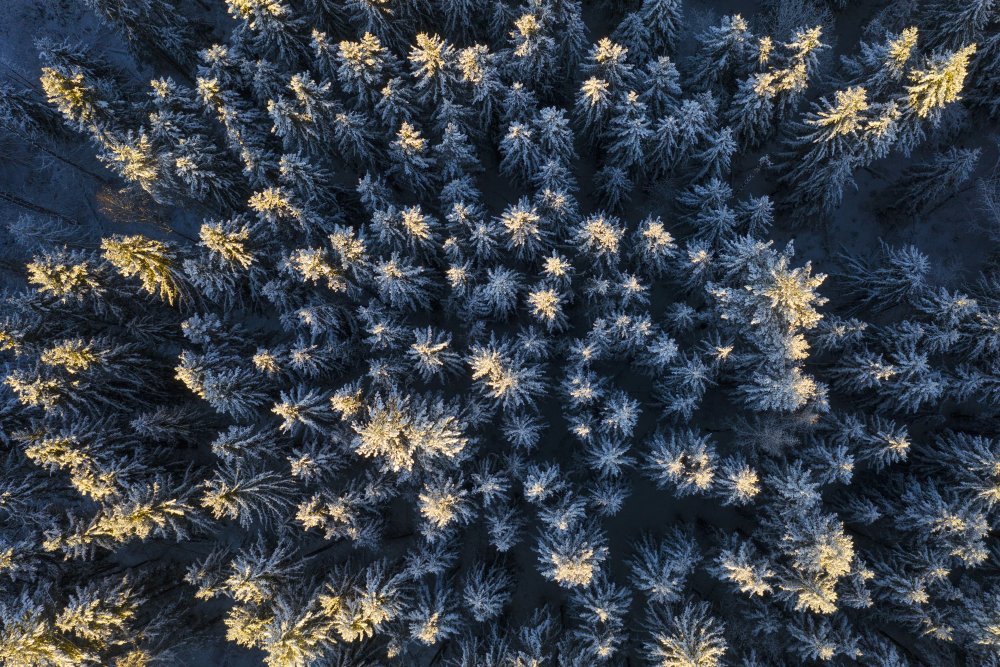 Last warm rays von Dmitry Doronin