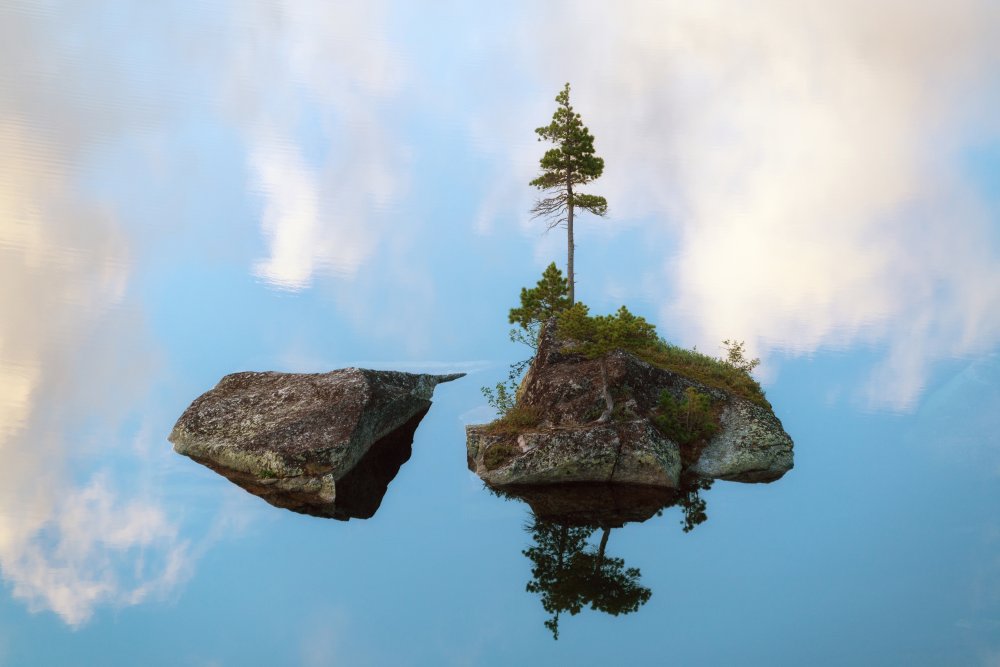 Striving for life von Dmitry Doronin