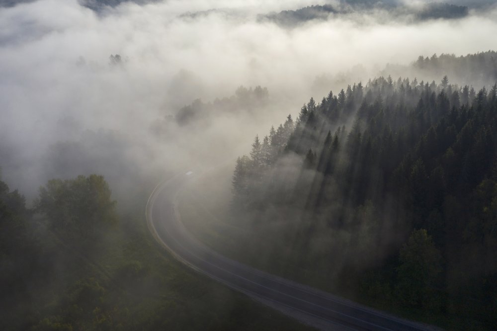 Road to fog von Dmitry Doronin