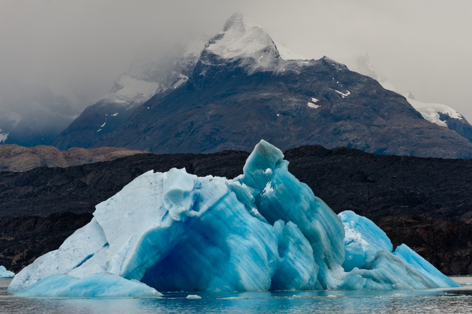 The homology von Dmitry Dubikovskiy