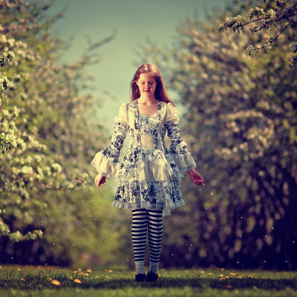 Alice's dream von Dmitry Laudin