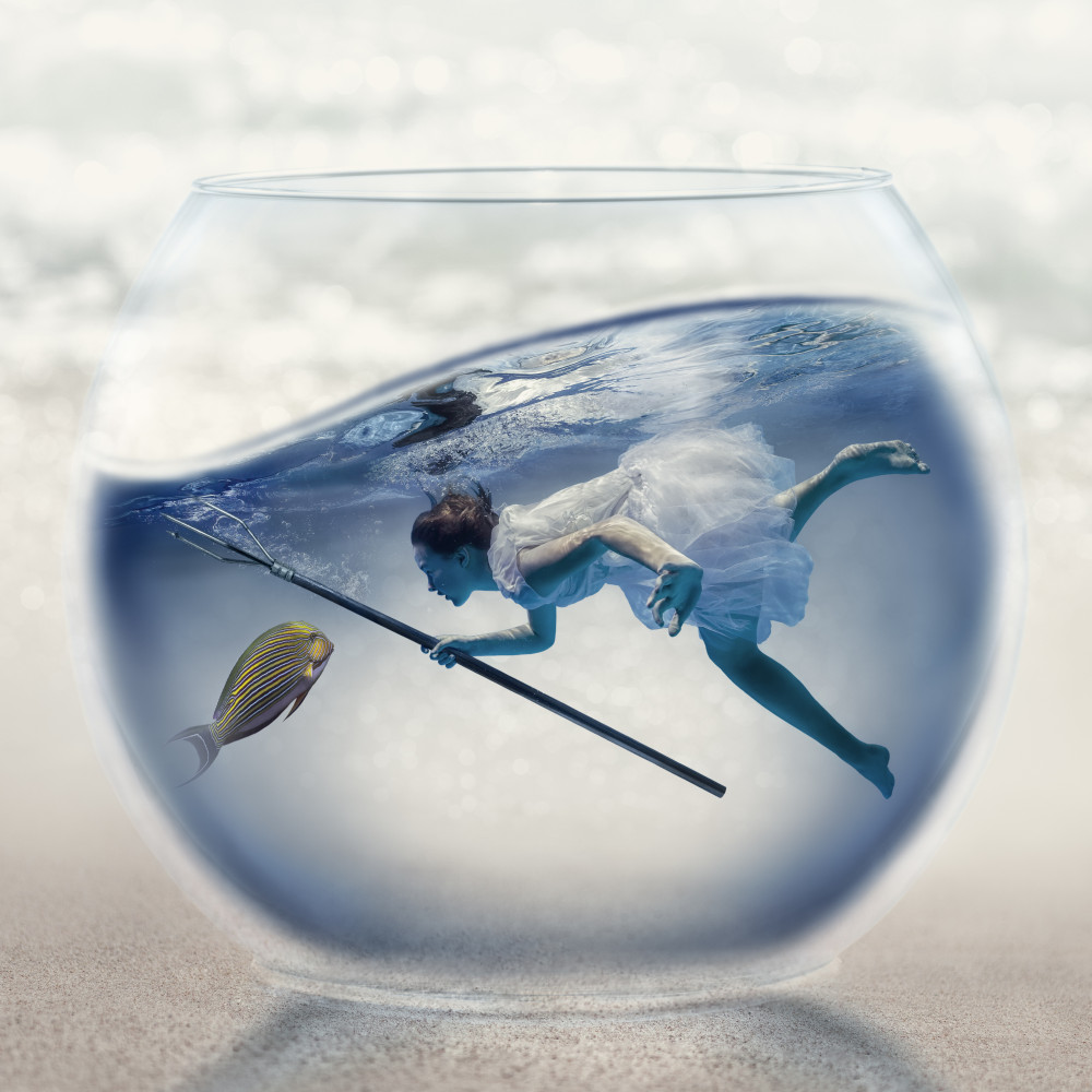 fishing von Dmitry Laudin