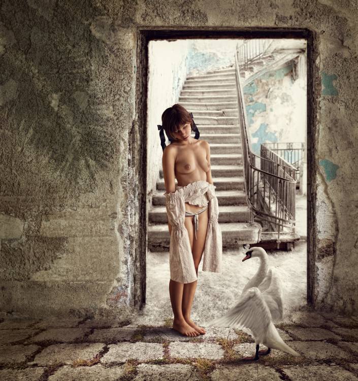 Princess and the Swan von Dmitry Laudin