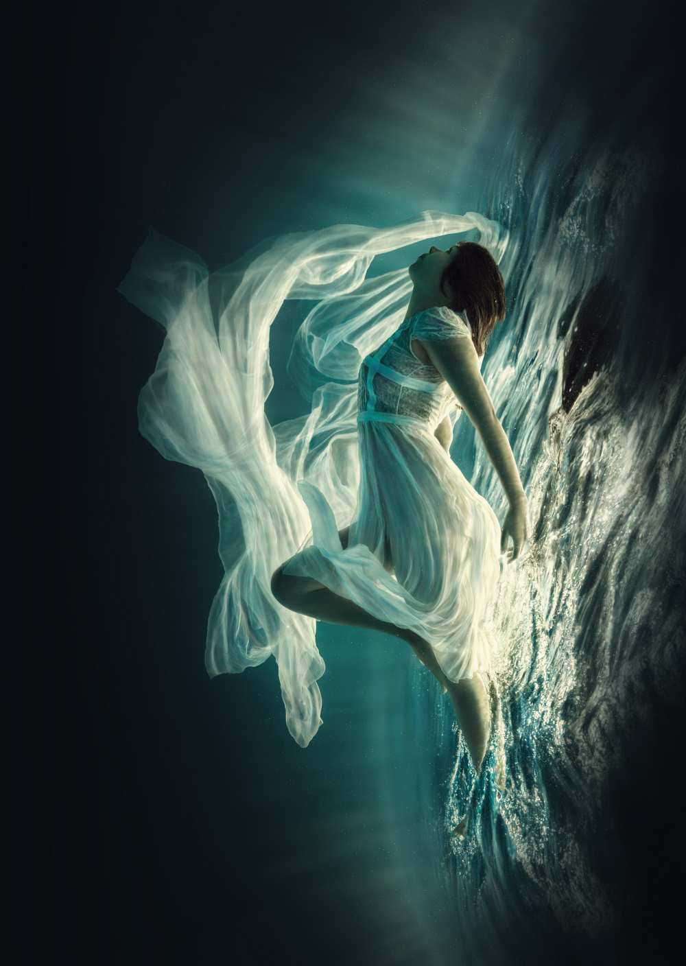 Renaissance von Dmitry Laudin