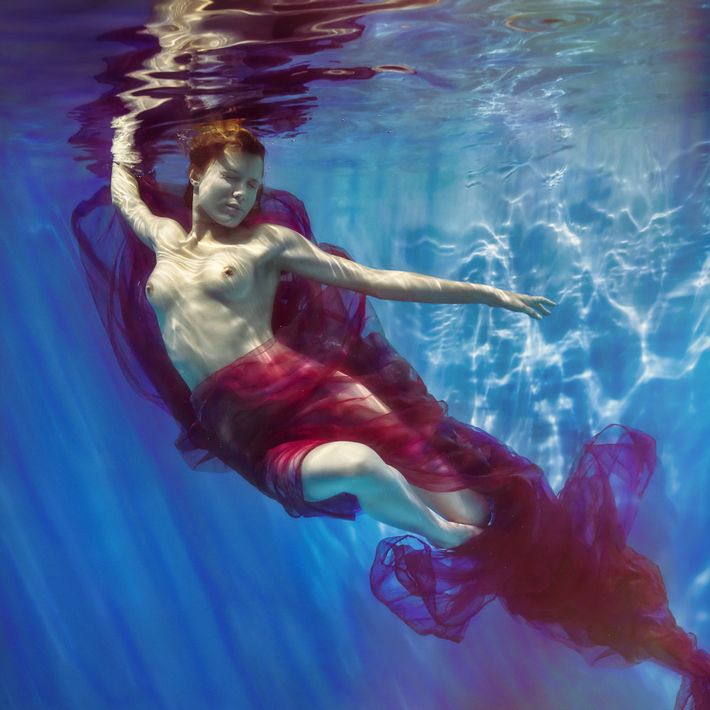 renaissance von Dmitry Laudin