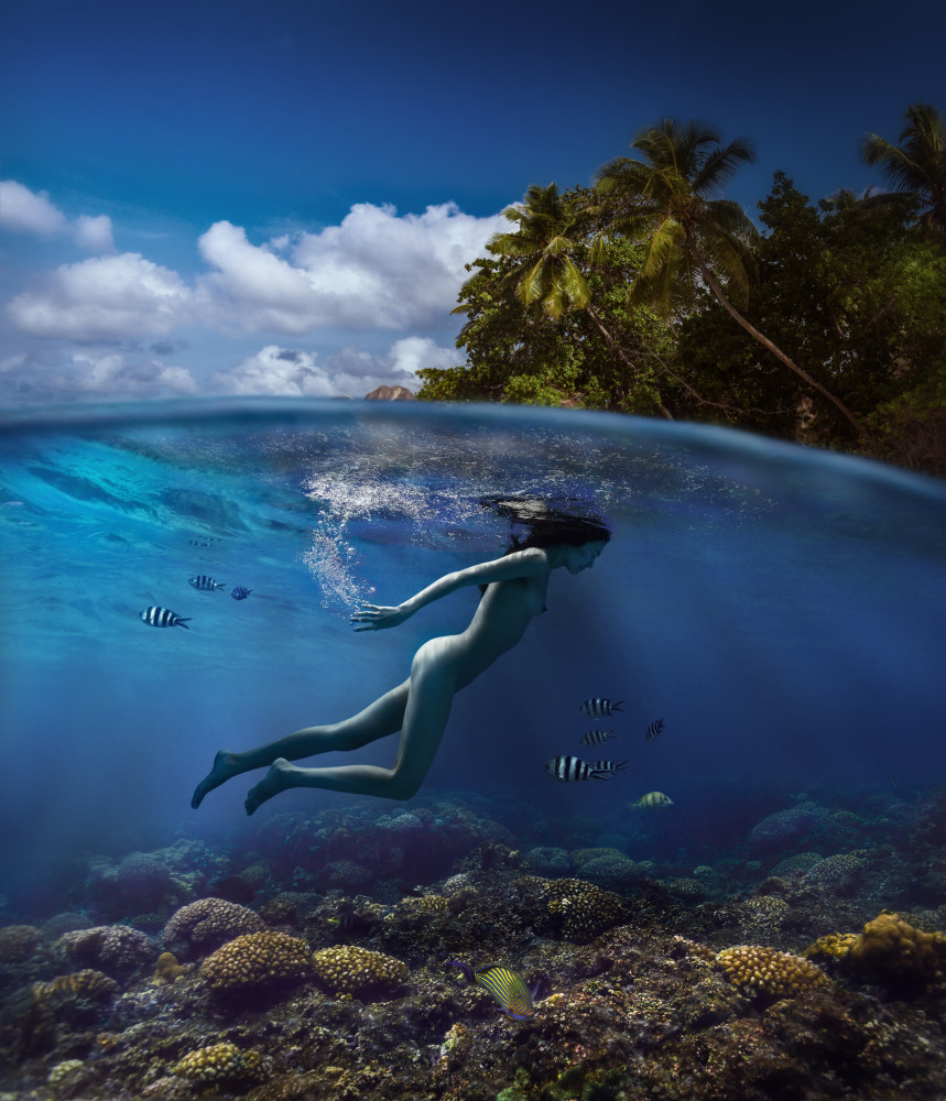 tropical fairy von Dmitry Laudin