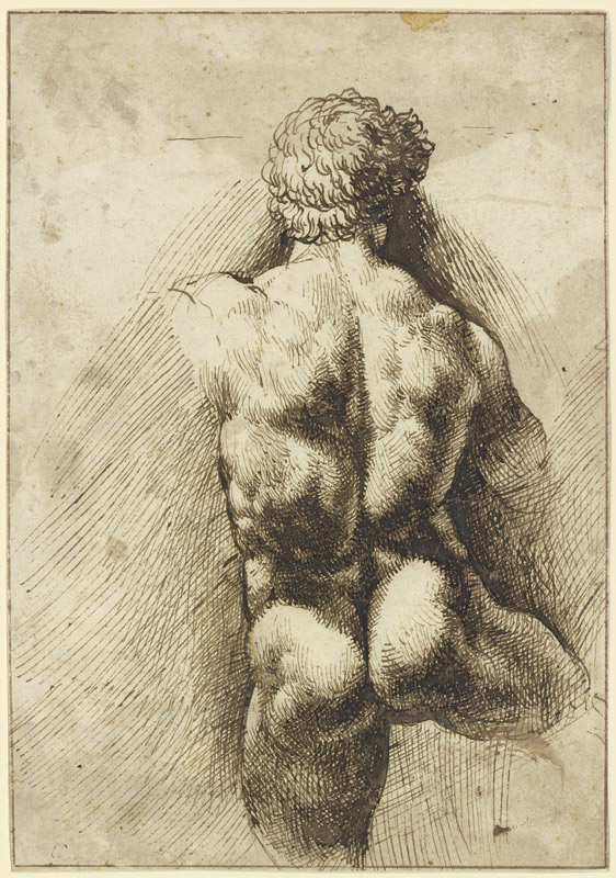 Männlicher Rückenakt, Torso von Domenico Campagnola