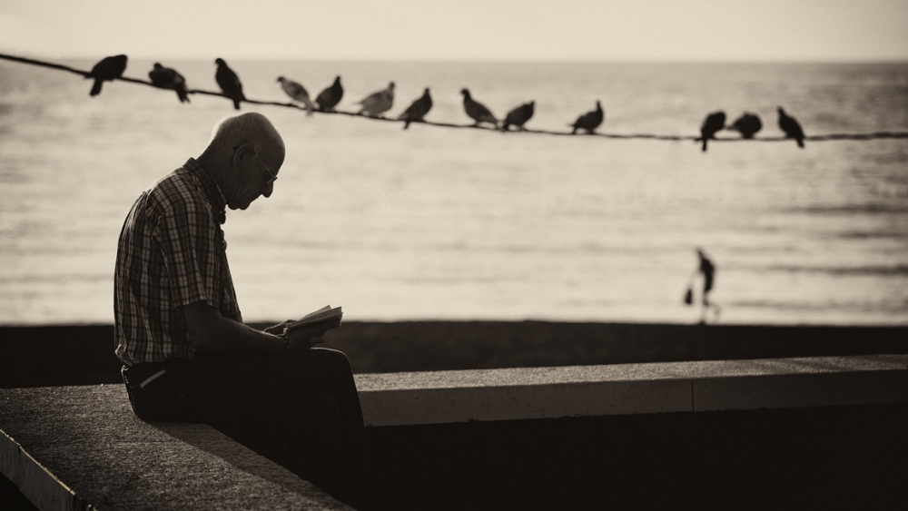 My story von Dominic Dähncke